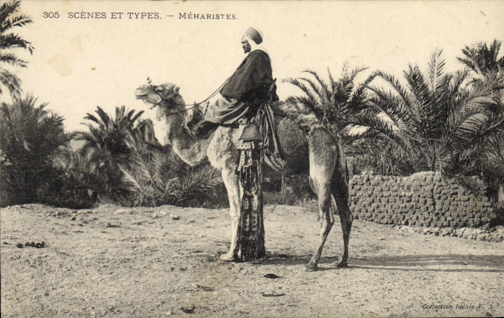 VINTAGE POSTCARD Militaria Meharistes Camel