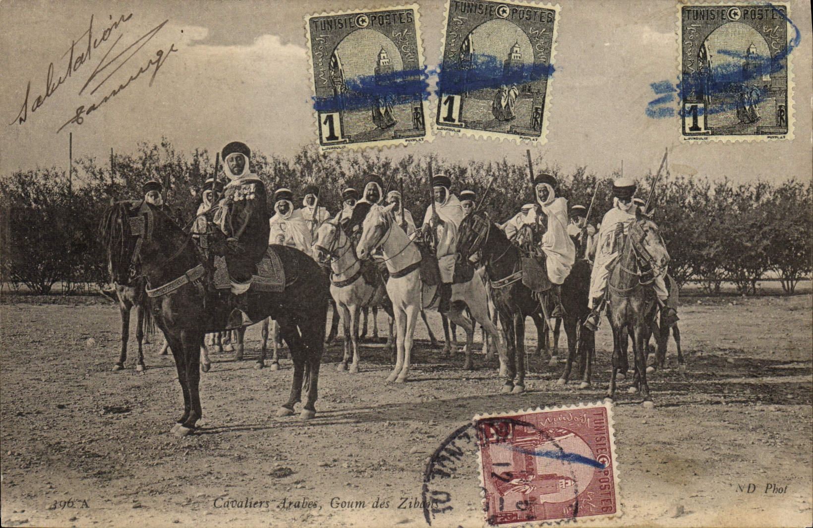 VINTAGE POSTCARD Militaria Tunisia Arab Riders Goum of Zibans