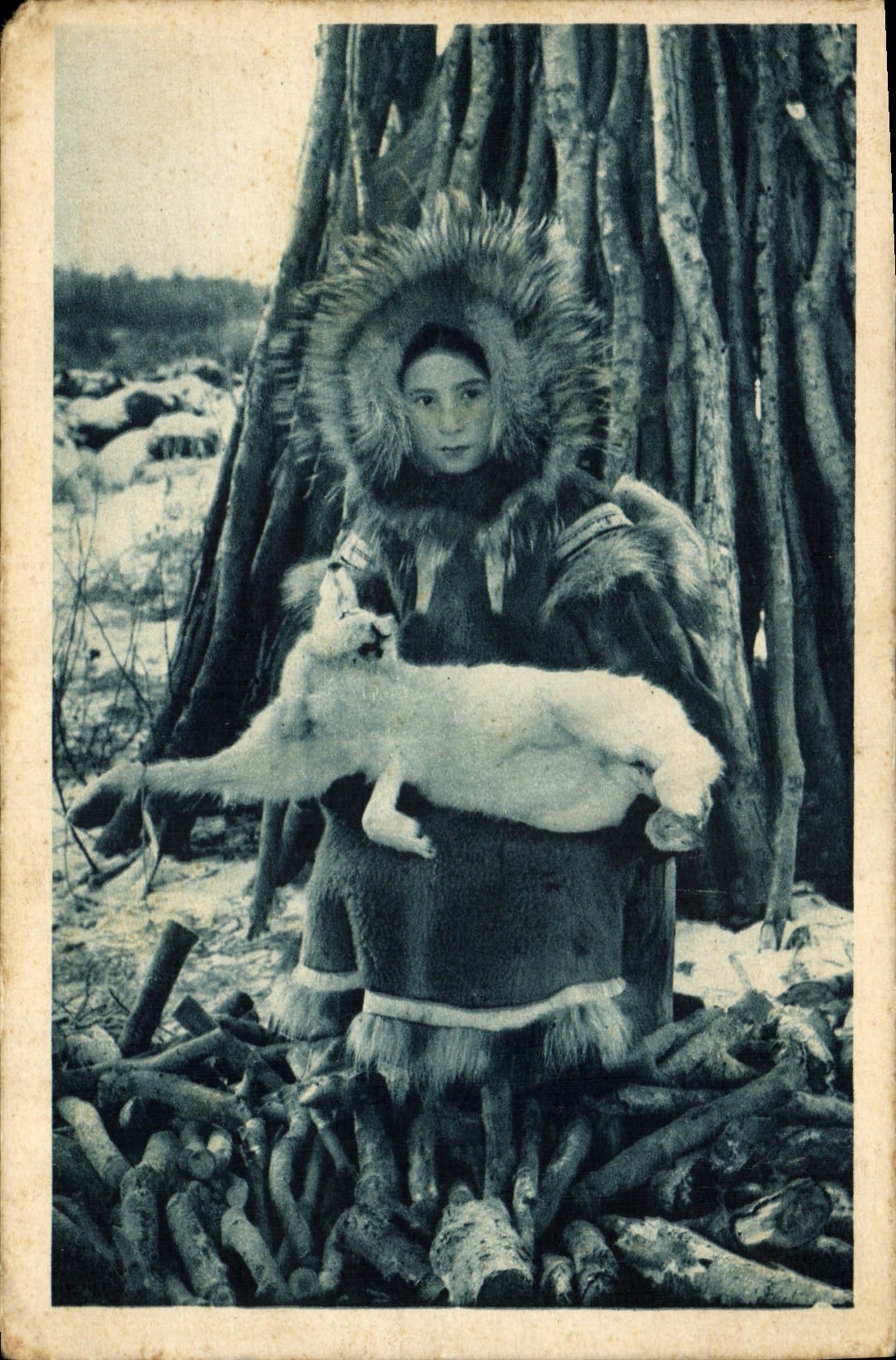 VINTAGE POSTCARD Polaire boreal Aureole Rings Arctic Alaska