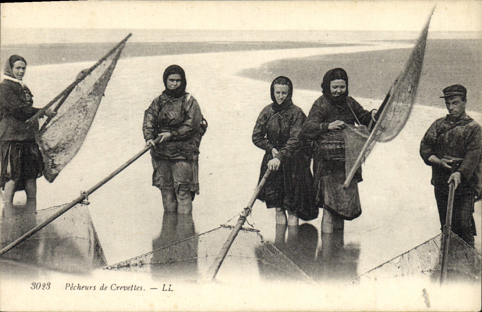 CPA Peche Pecheurs de crevettes 