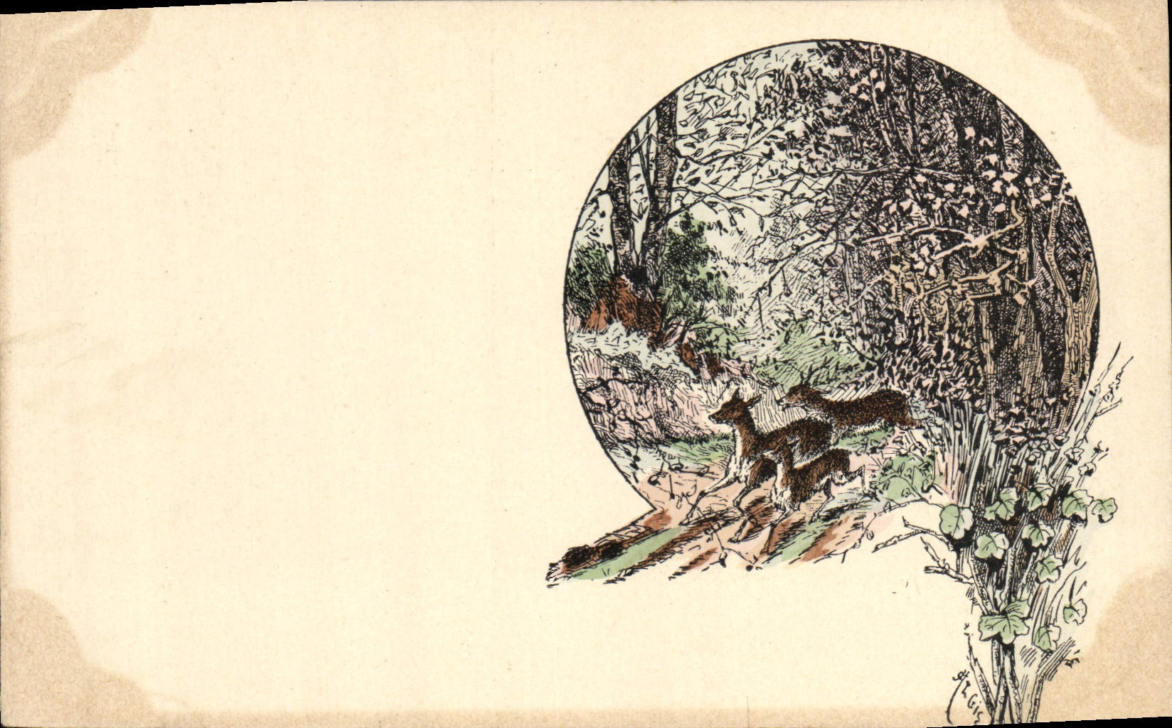 Hinds traseros de la caza de la POSTAL de la VENDIMIA