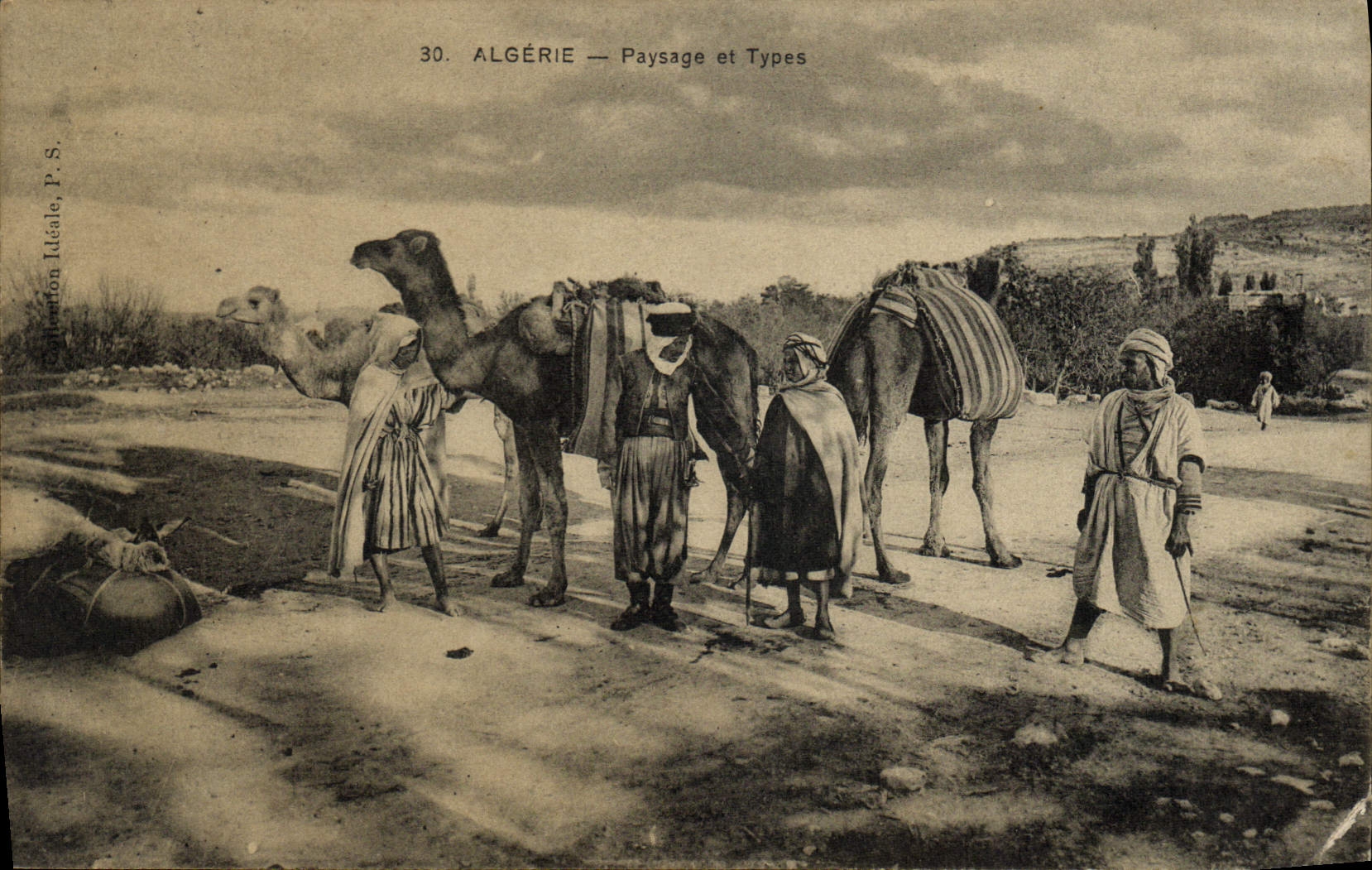 VINTAGE POSTCARD Militaria Landscape and standard Spahis