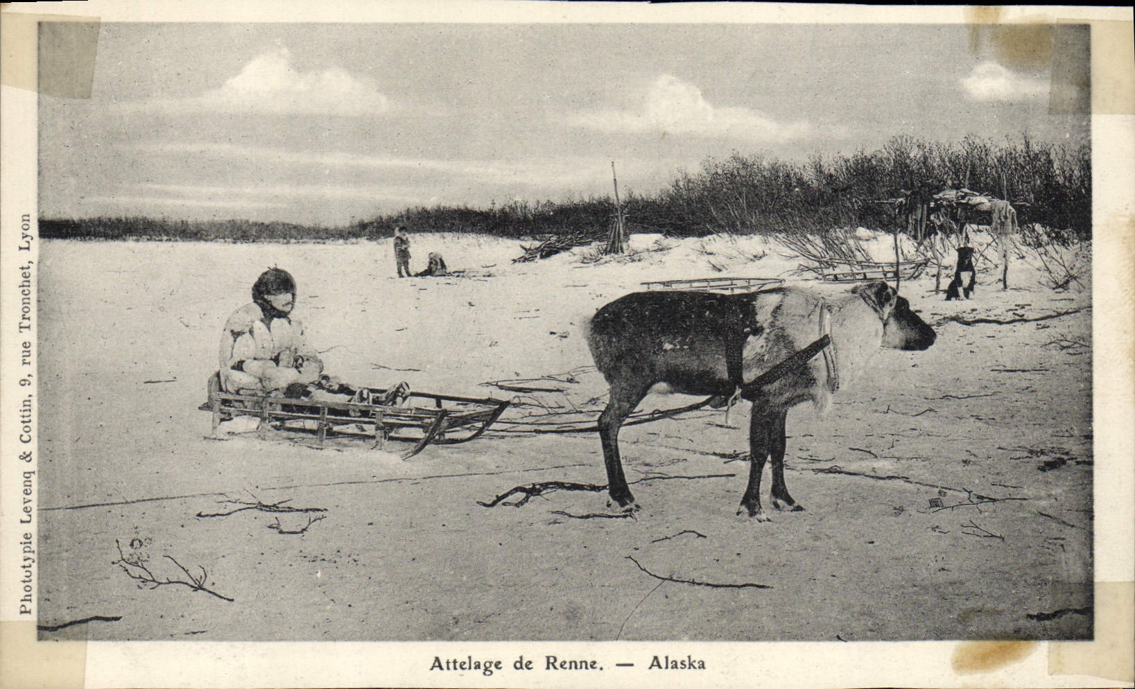 VINTAGE POSTCARD Polar Coach of Alaska reindeer