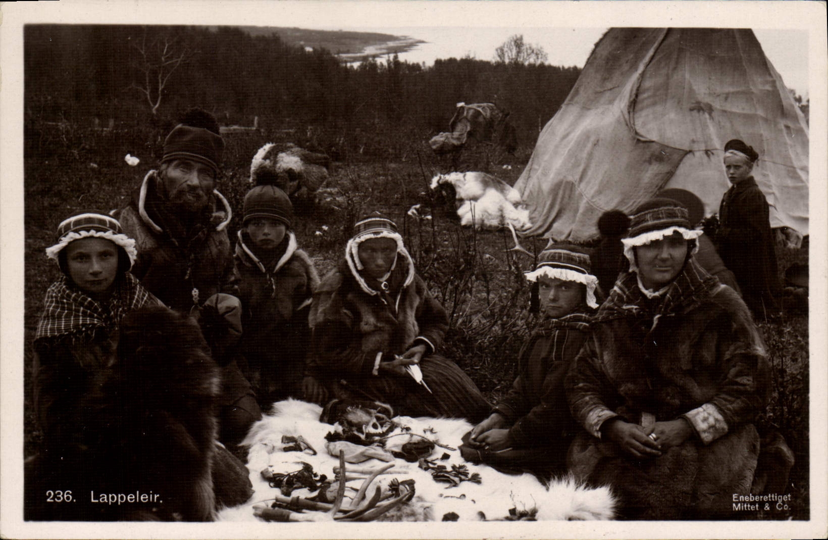 VINTAGE POSTCARD Polar Lappeleir