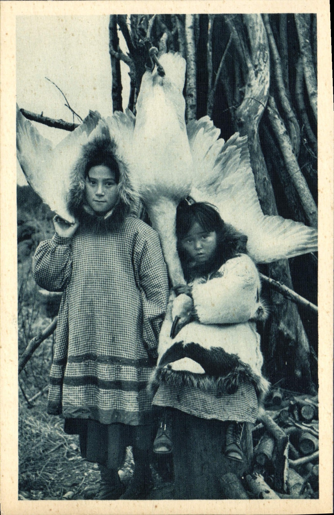 VINTAGE POSTCARD Polaire alive Table at the Eskimos Rings Arctic Alaska