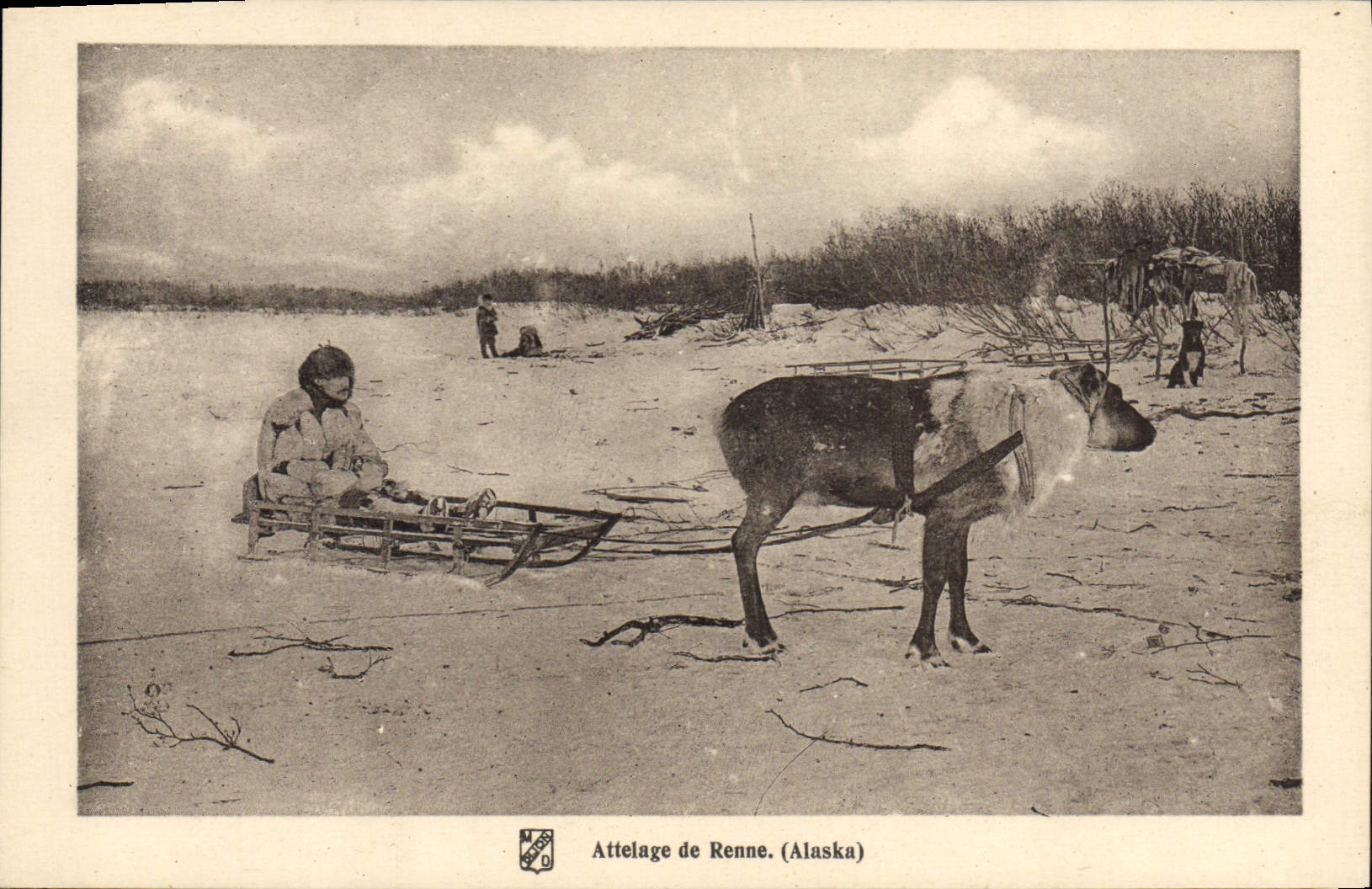 CPA Polaire Attelage de renne Alaska