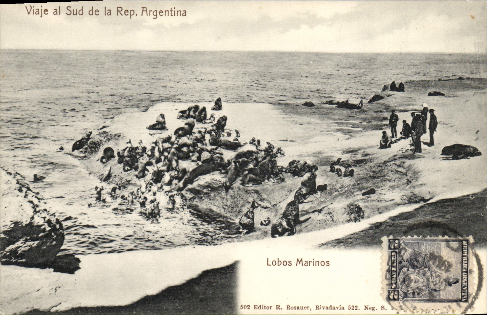 VINTAGE POSTCARD Polar Southern Viaje Al of Reference mark Argentina Lobos Marinos Seal