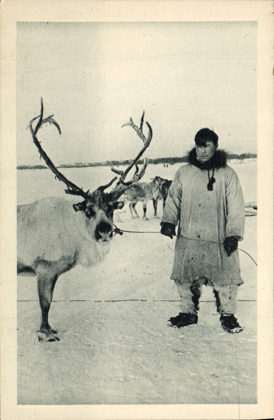 CPA Polaire Le renne et son maitre