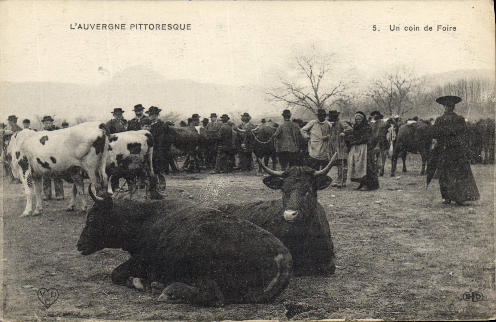CPA Folklore Auvergne Un coin de foire Vaches TOP