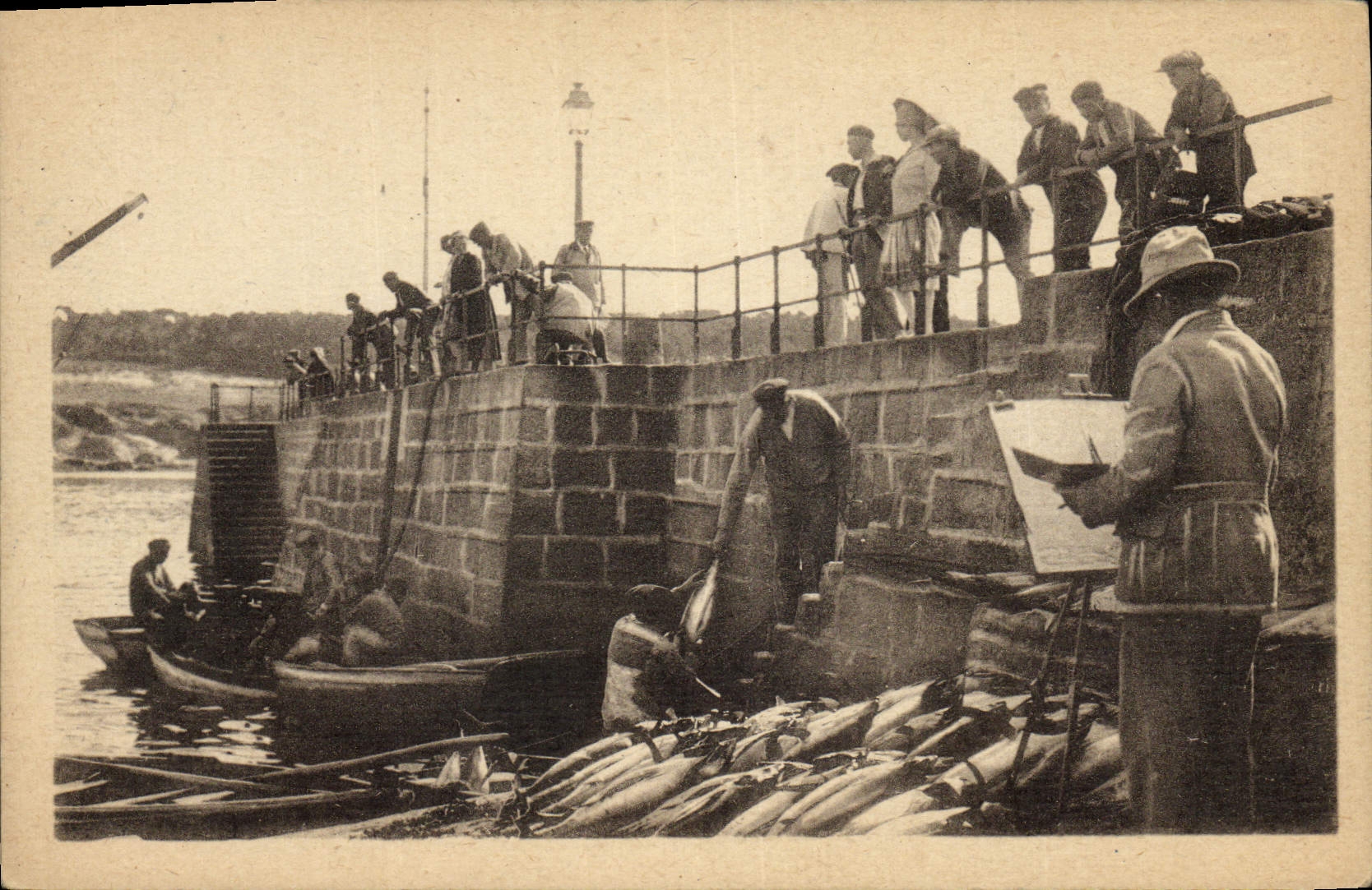 CPA Peche Concarneau Arrivage du thon