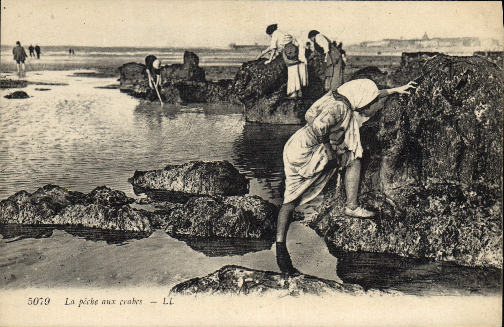CPA Peche La peche aux crabes