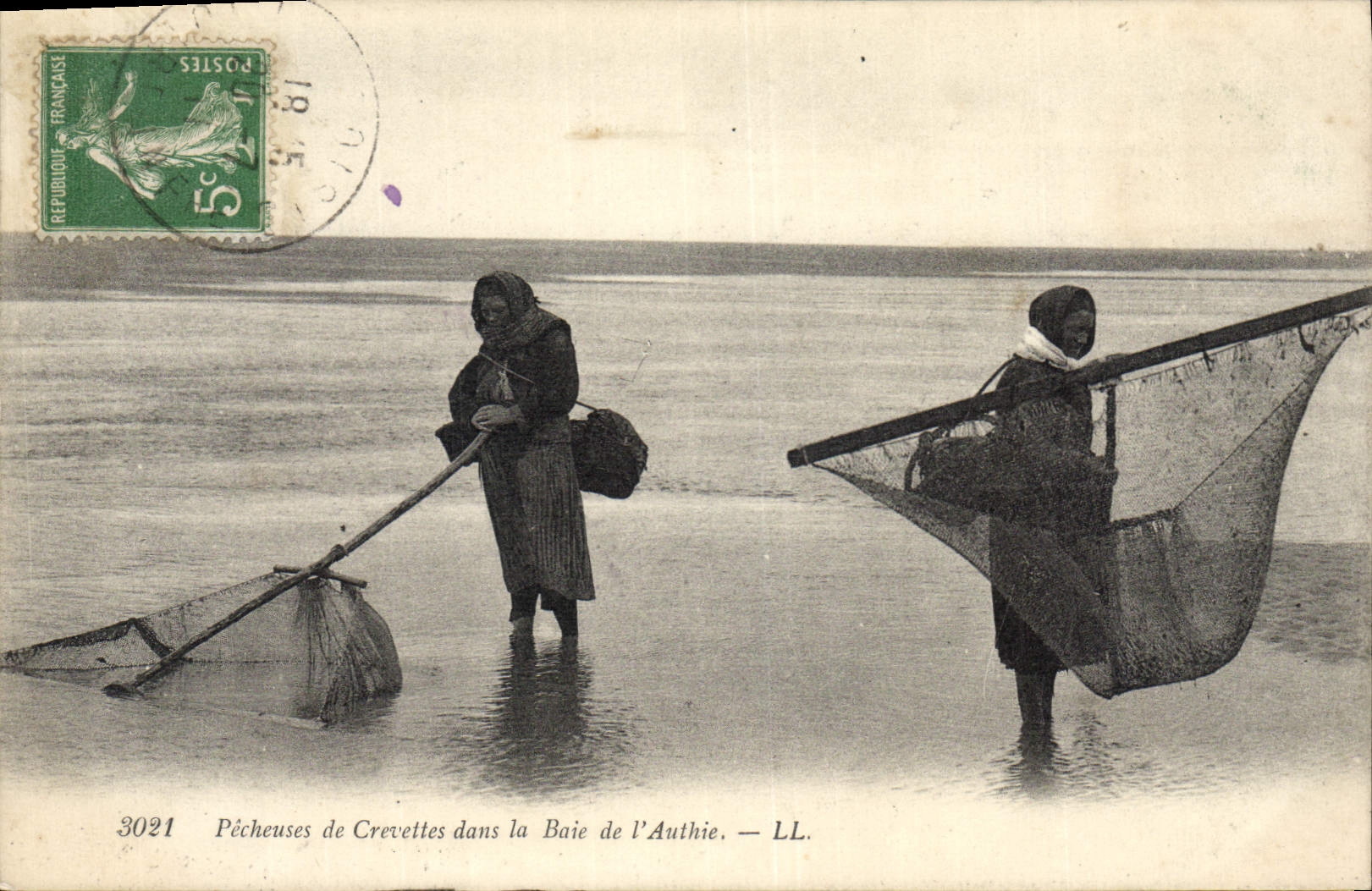 CPA Peche Pecheuses de crevettes dans la baie de l'Authie