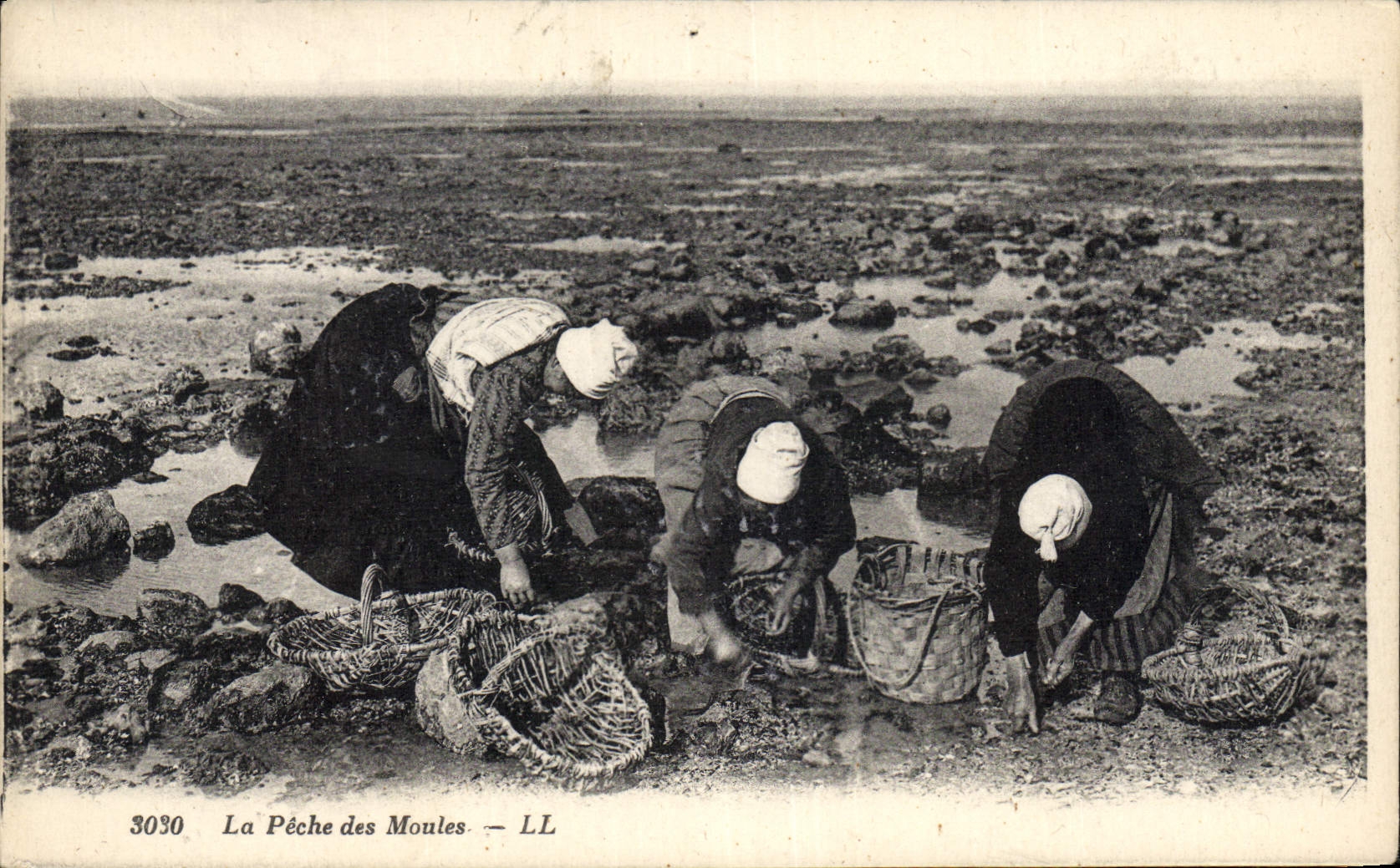 CPA Peche La peche des moules