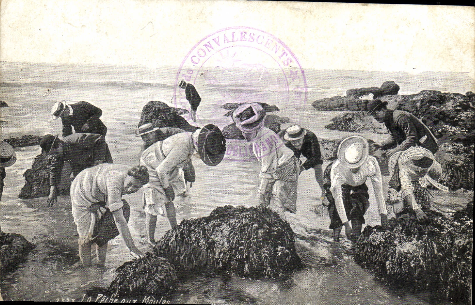 VINTAGE POSTCARD Fishing Fishing with the moulds