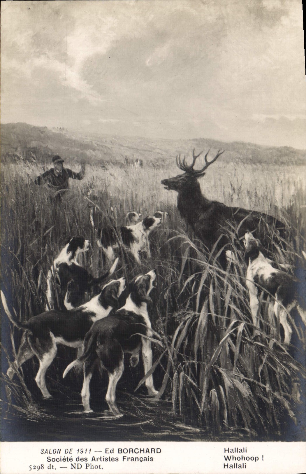 CPA Chien Chiens Chasse a courre Salon de 1911 Borchard Hallali Cerf