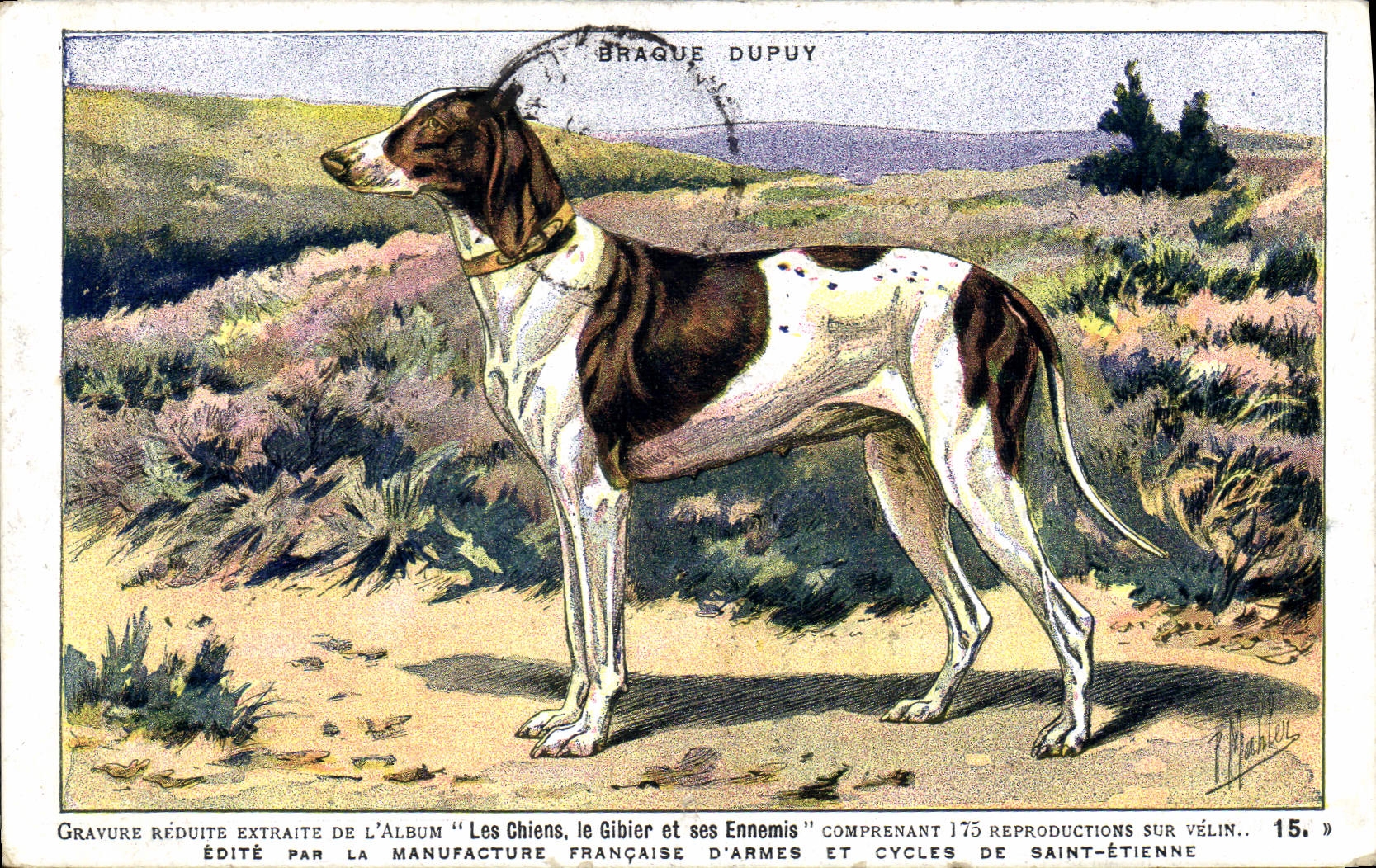 La caza de los perros de Chien de la POSTAL de la VENDIMIA dirige Dupuy