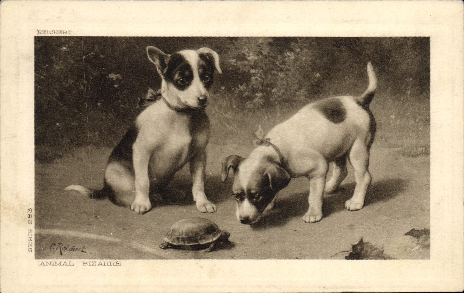 CPA Chien Chiens 
