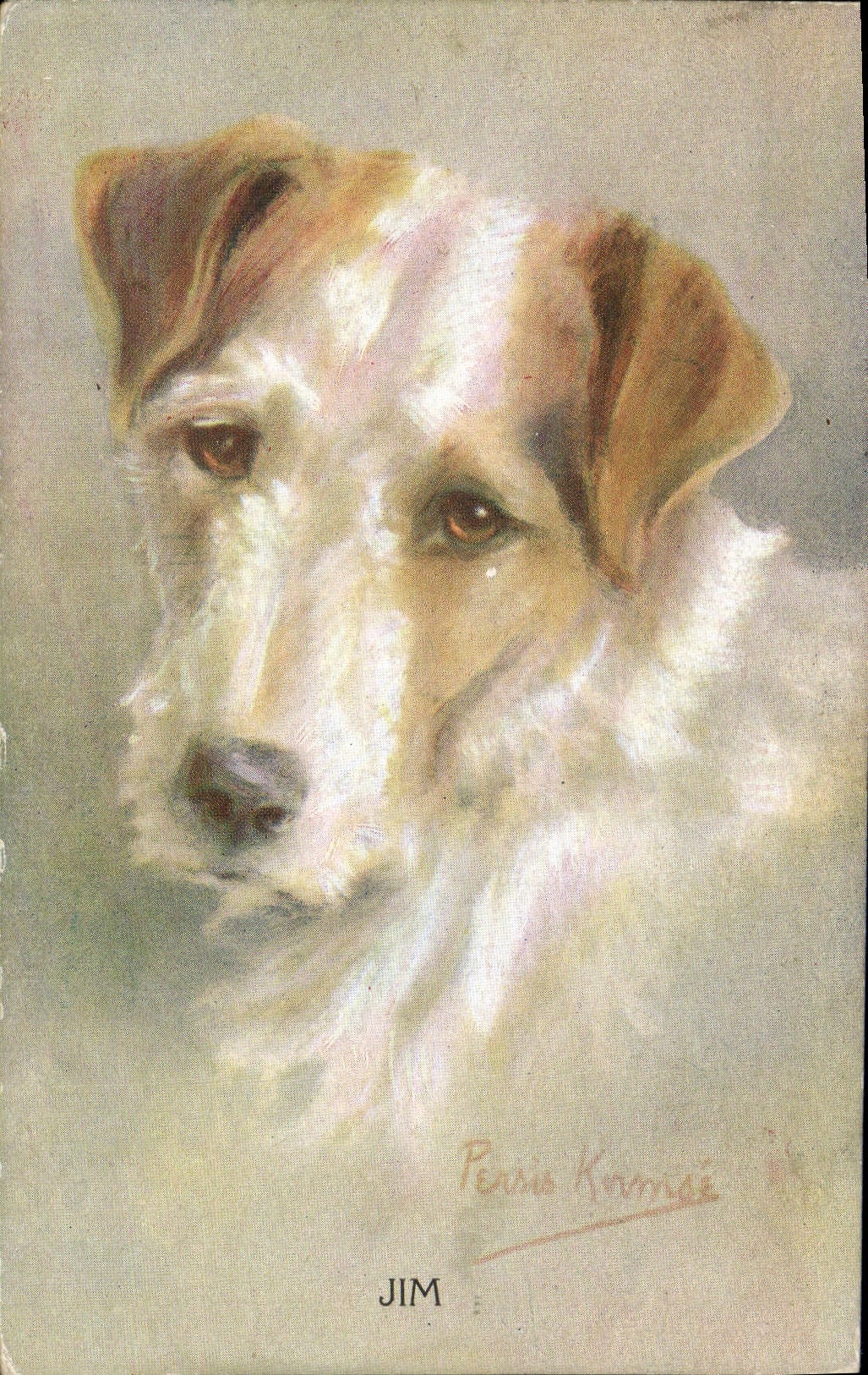 CPA Chien Chiens Jim