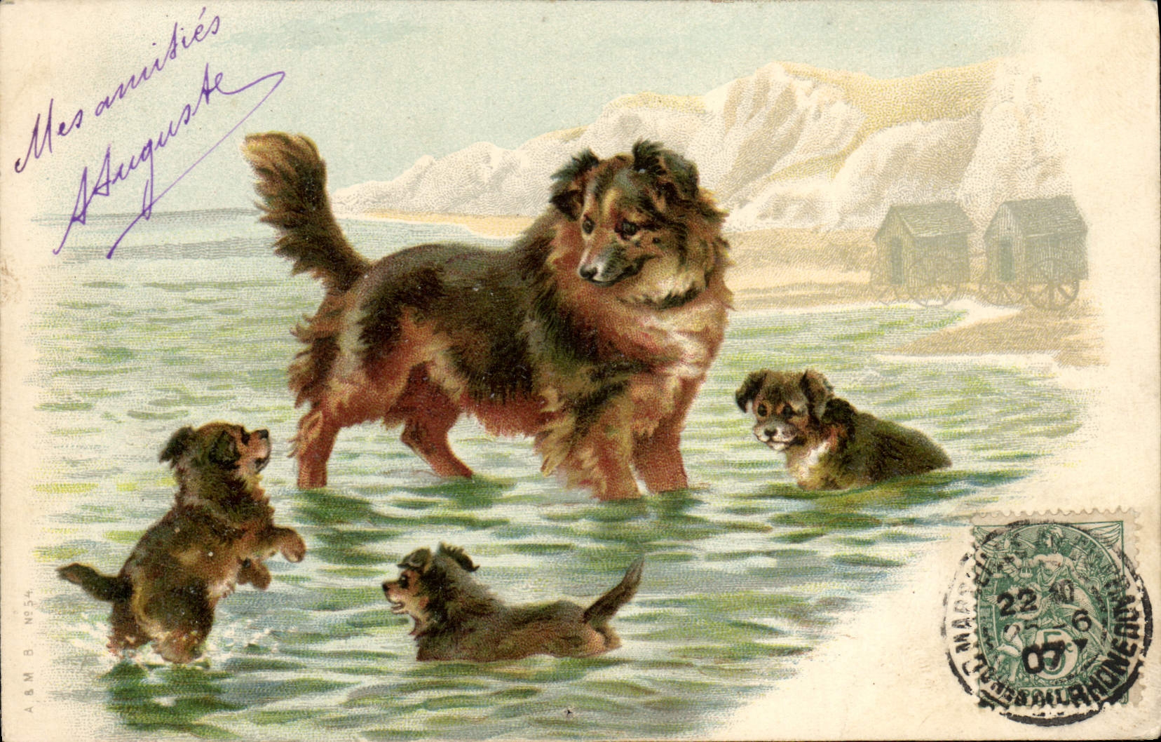 CPA Chien Chiens 
