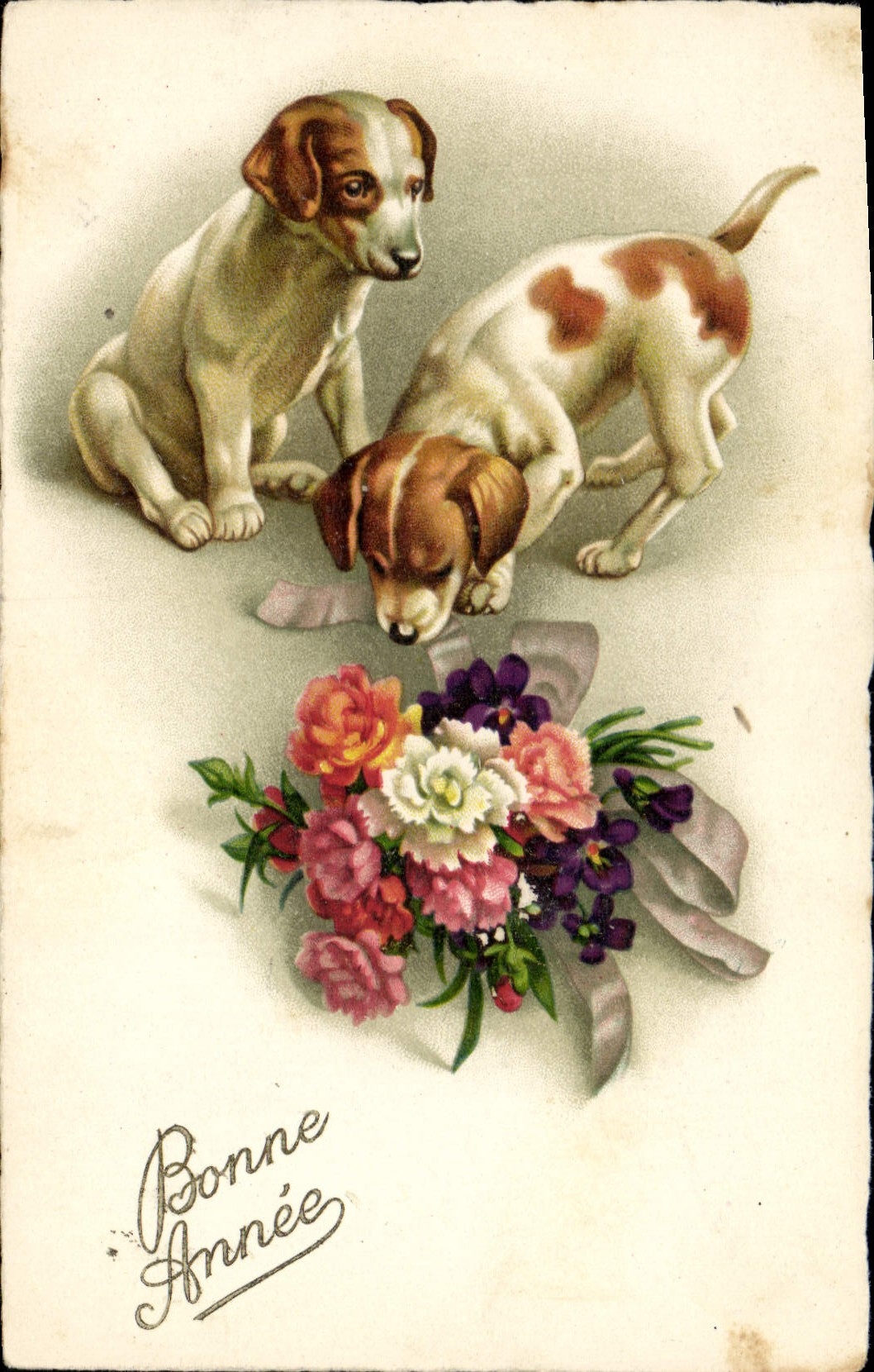 VINTAGE POSTCARD Dog Dogs Flowers