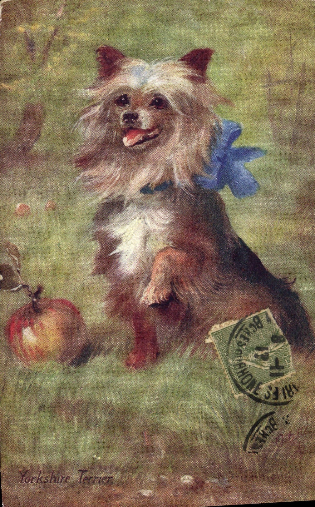 VINTAGE POSTCARD Dog Dogs Yorkshire Burrow