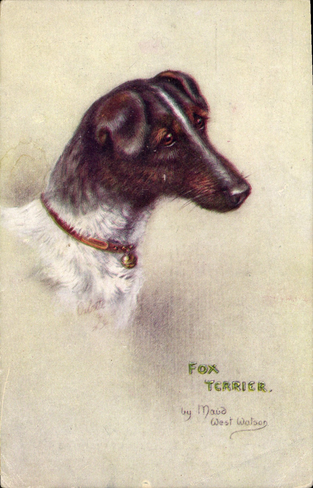CPA Chien Chiens Fox Terrier