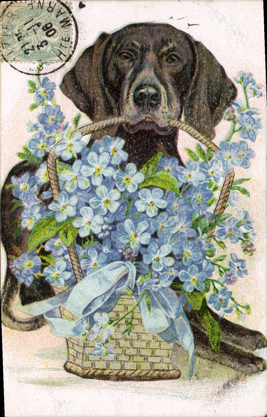 CPA Chien Chiens Fleurs