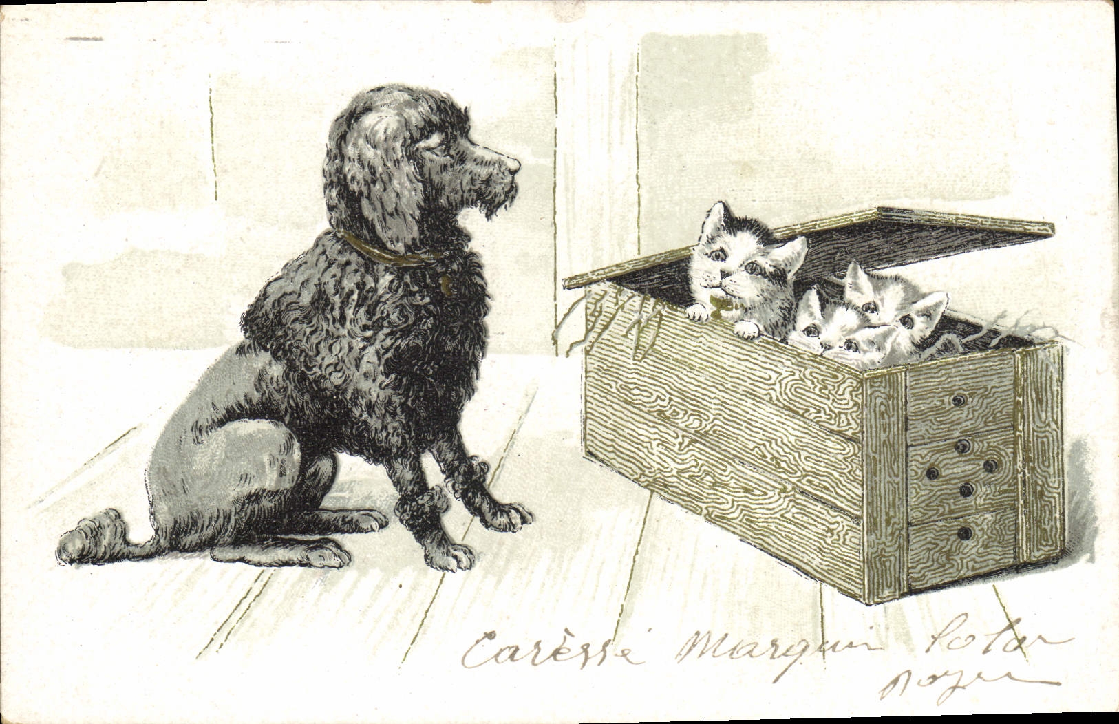 VINTAGE POSTCARD Dog Dogs Cats