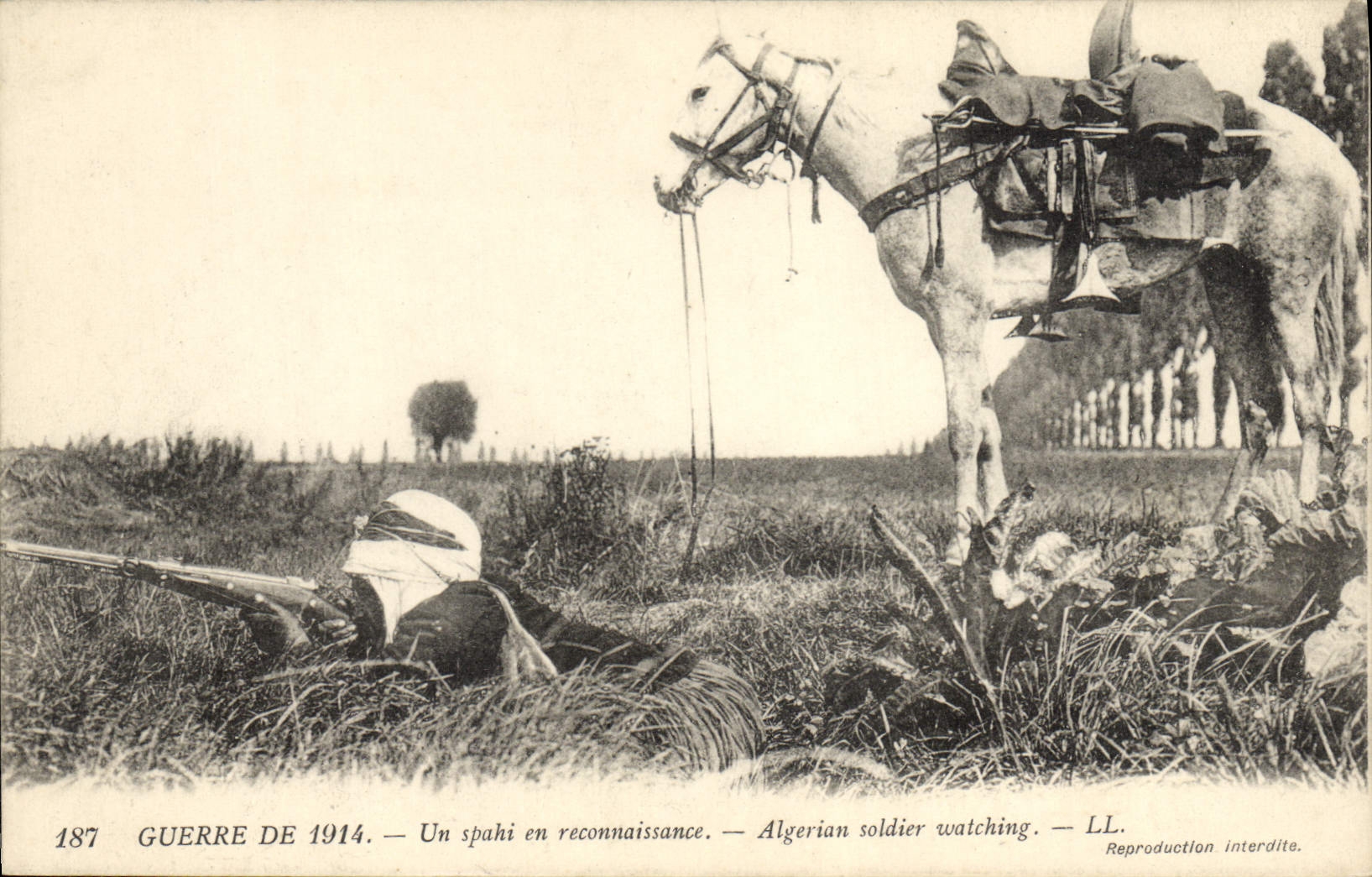 CPA Militaria Un Spahi en reconnaissance