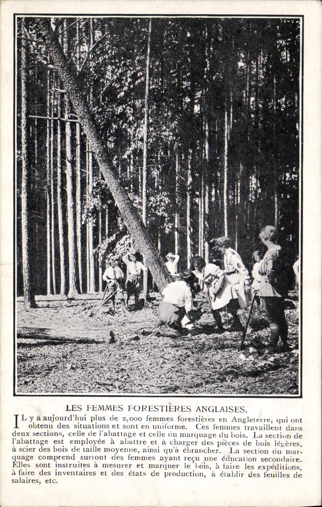 CPA Les femmes forestieres anglaises
