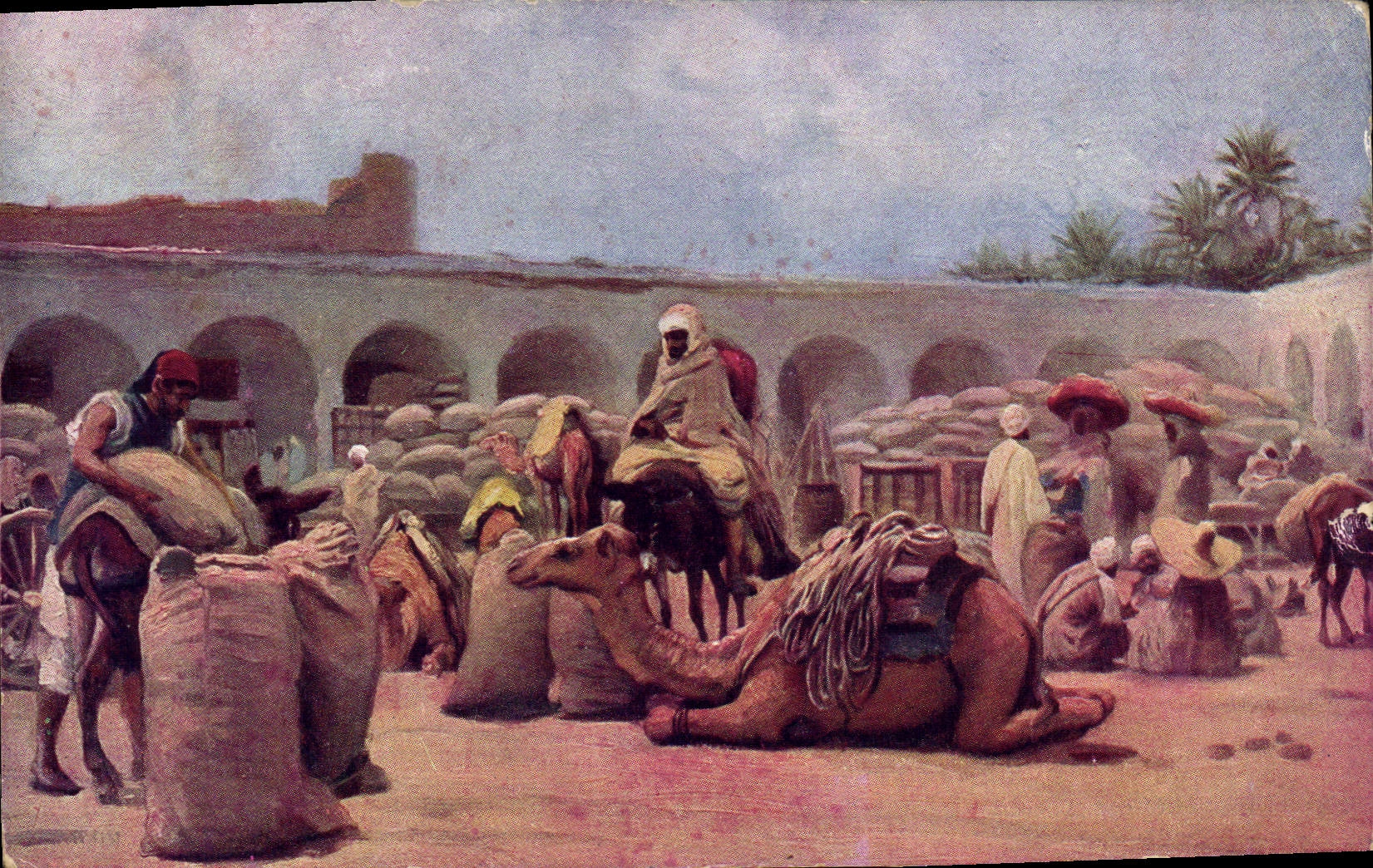 CPA Orientalisme Chameaux