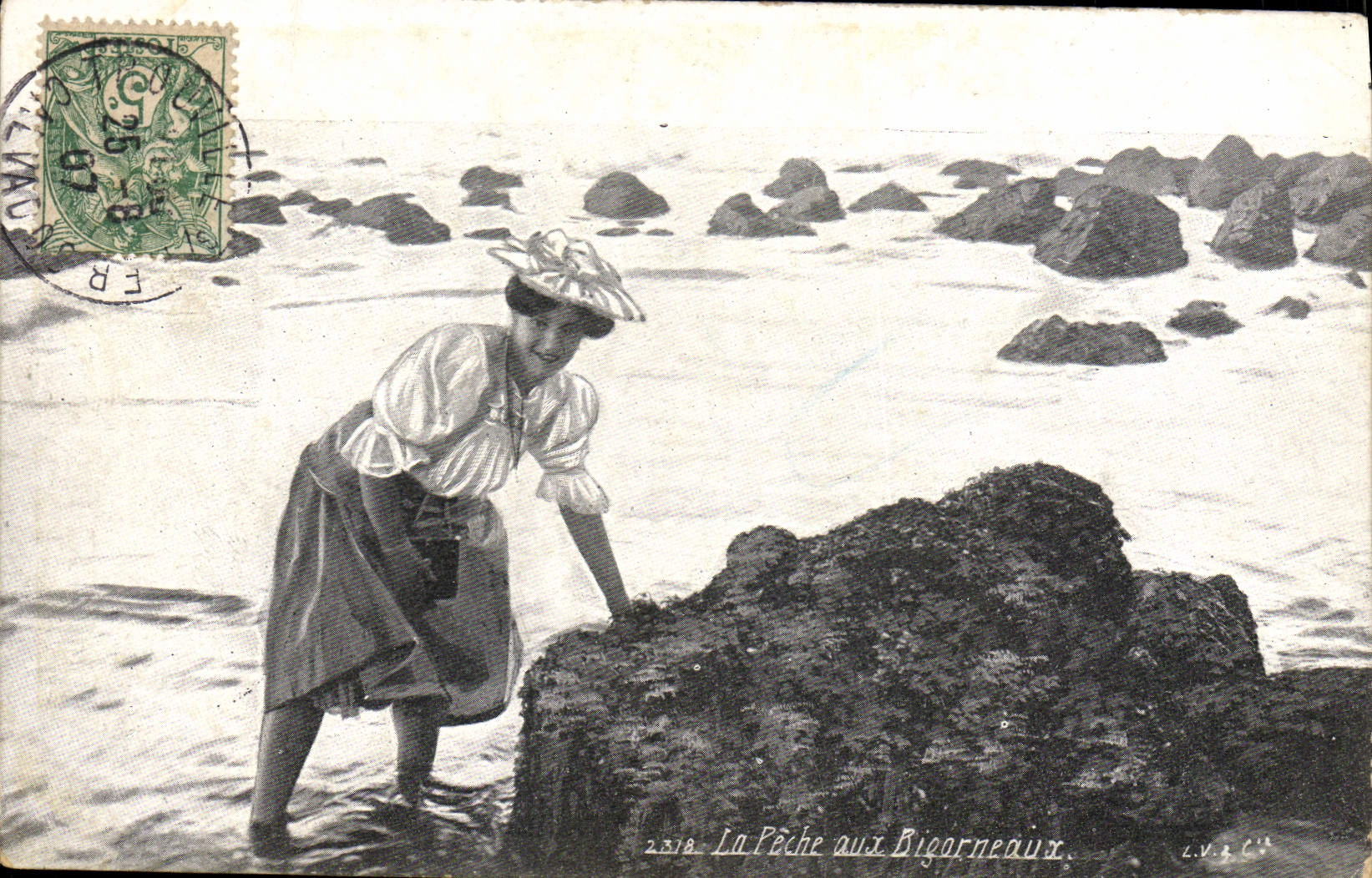 CPA Peche La peche aux bigorneaux