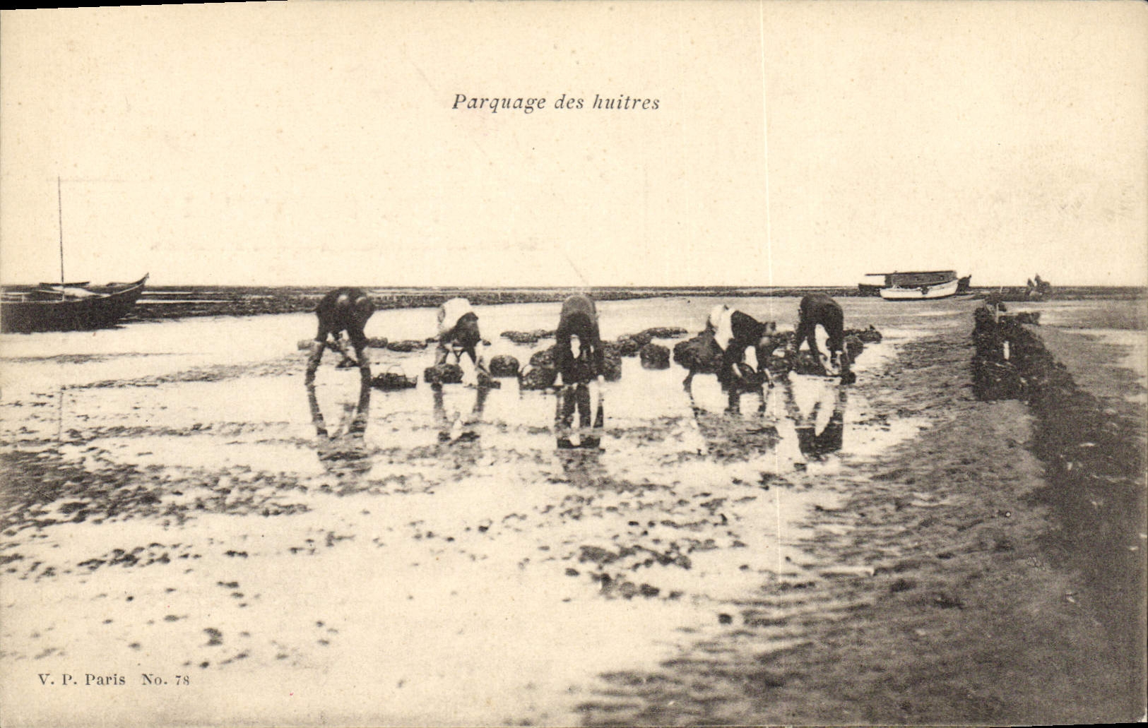 Postal Pesca Estacionamiento de las ostras