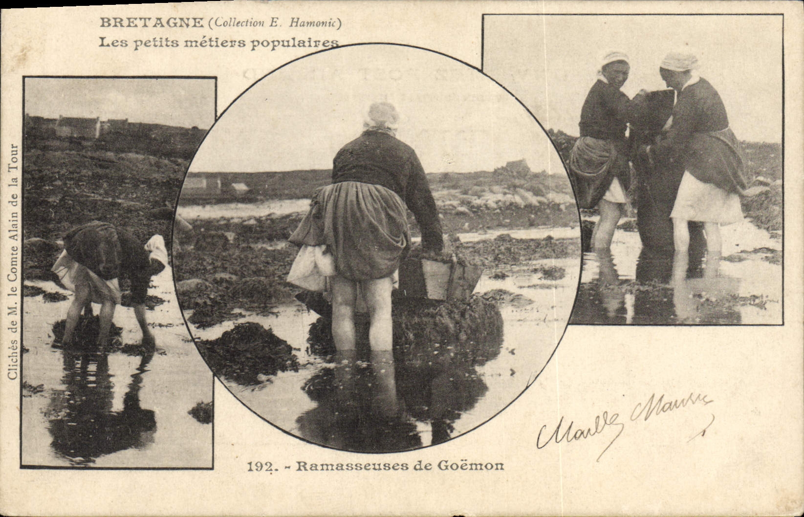 Postal Pesca Bretaña Recogedoras de goemon