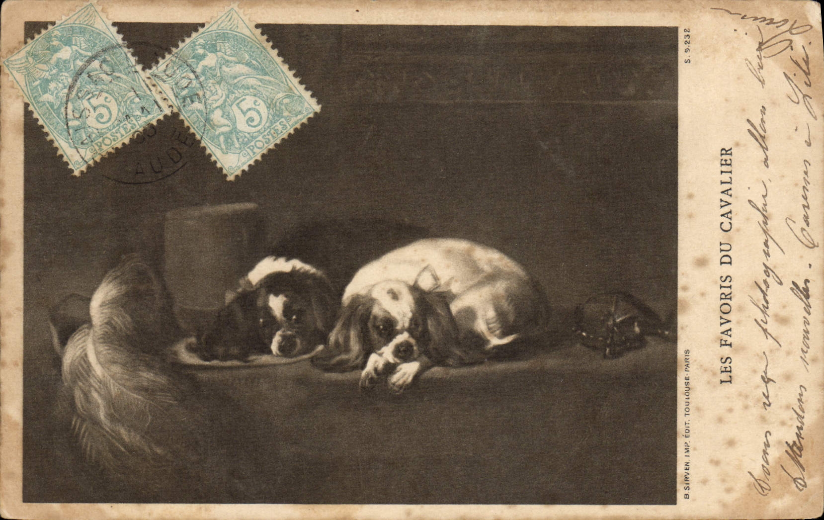 Vintage Postcard Dog Dogs Pup favorites of the rider