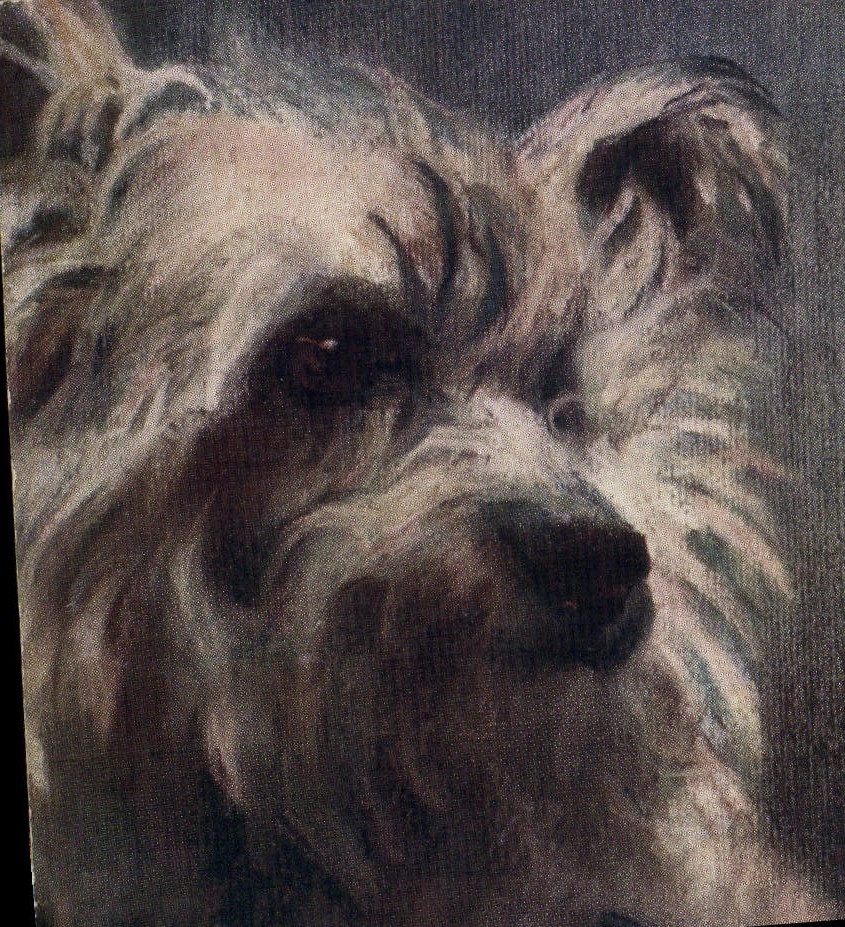 Vintage Postcard Dog Dogs Pup Cat