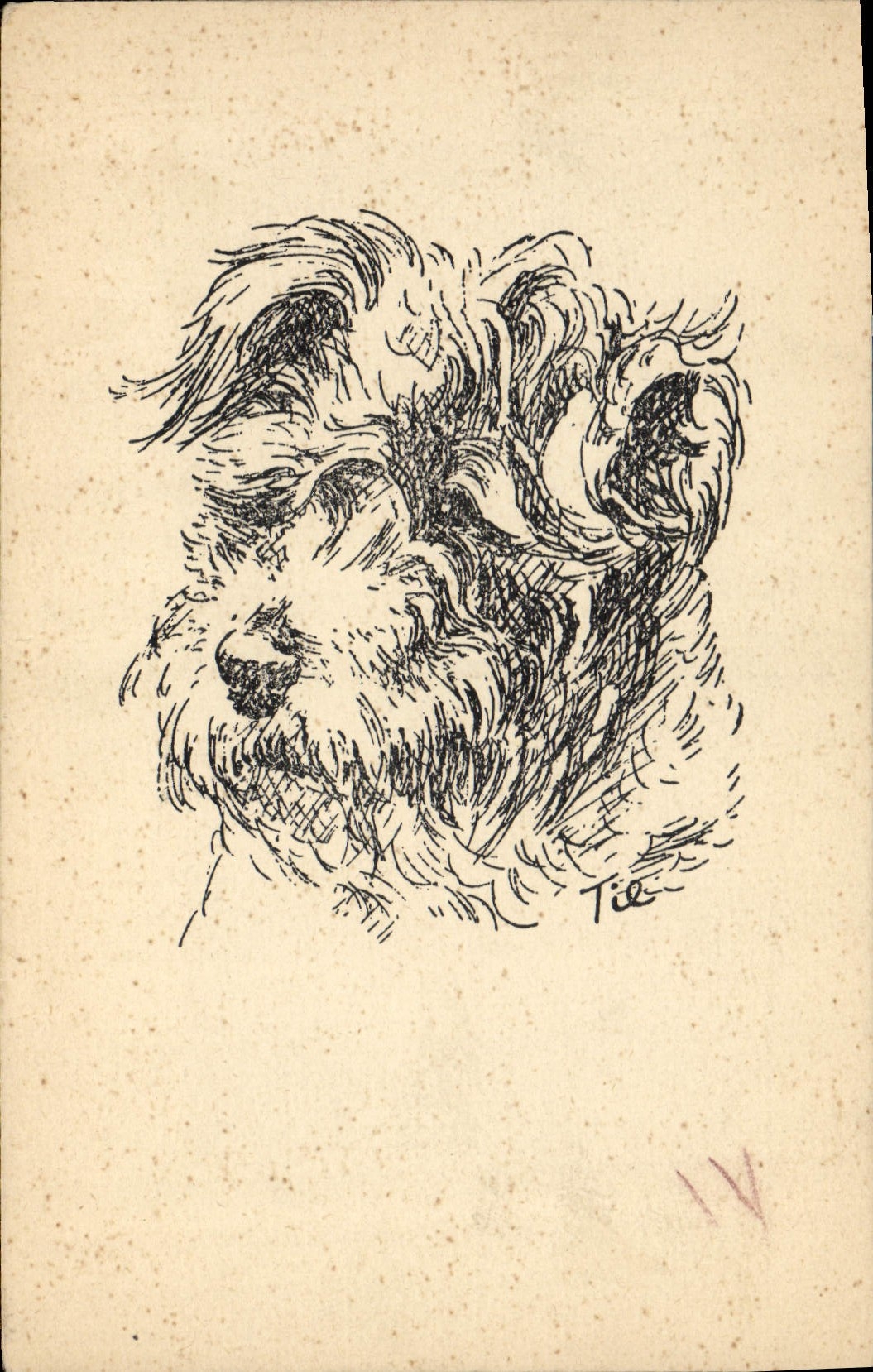 CPA Chien Chiens Chiot 