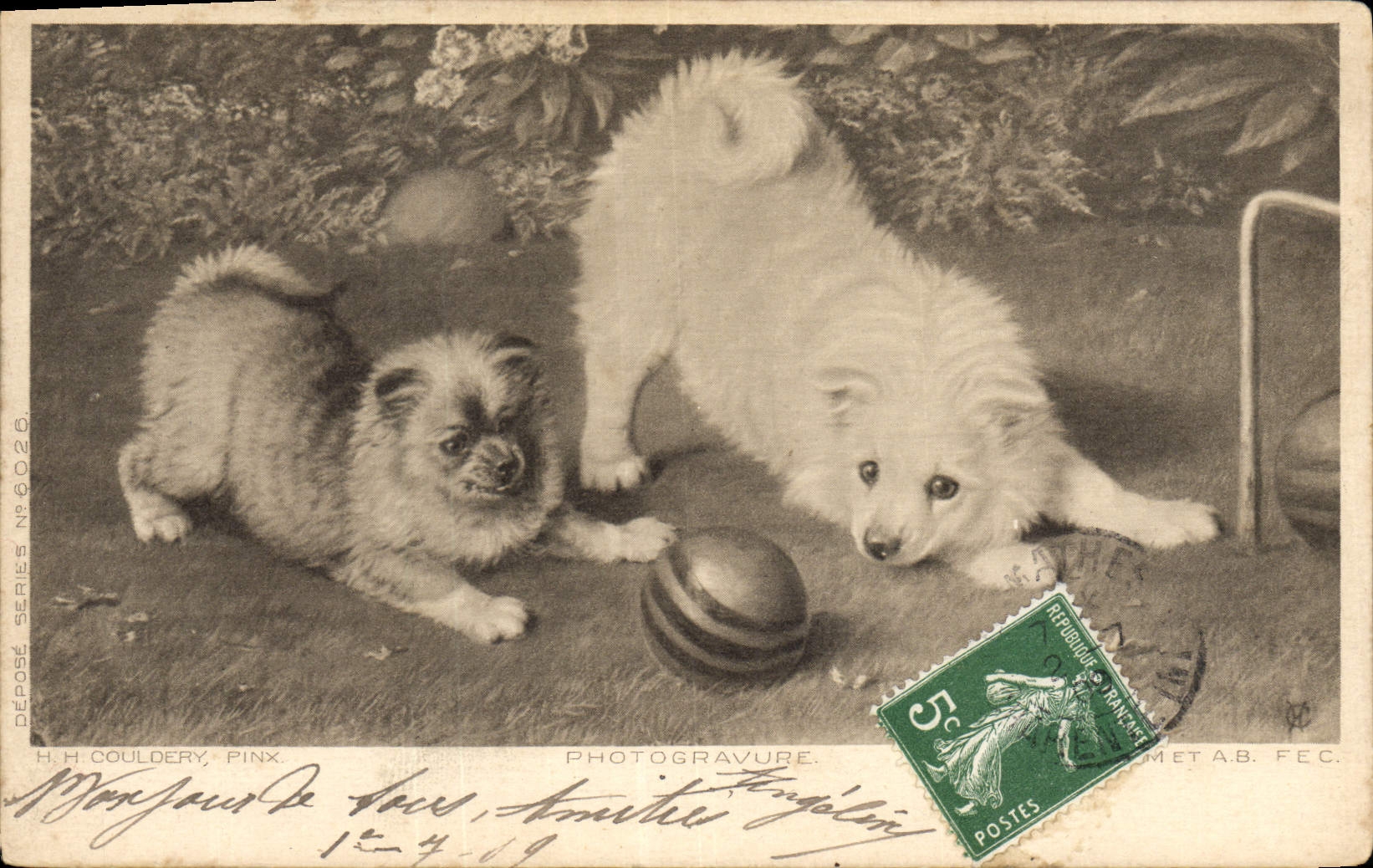CPA Chien Chiens Chiot 