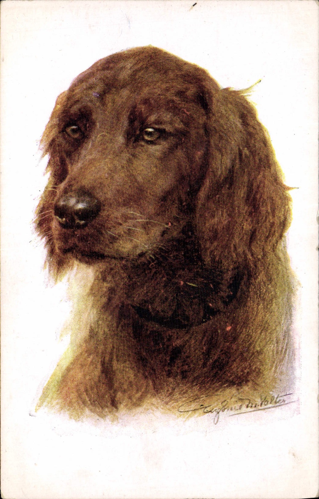 CPA Chien Chiens Chiot 