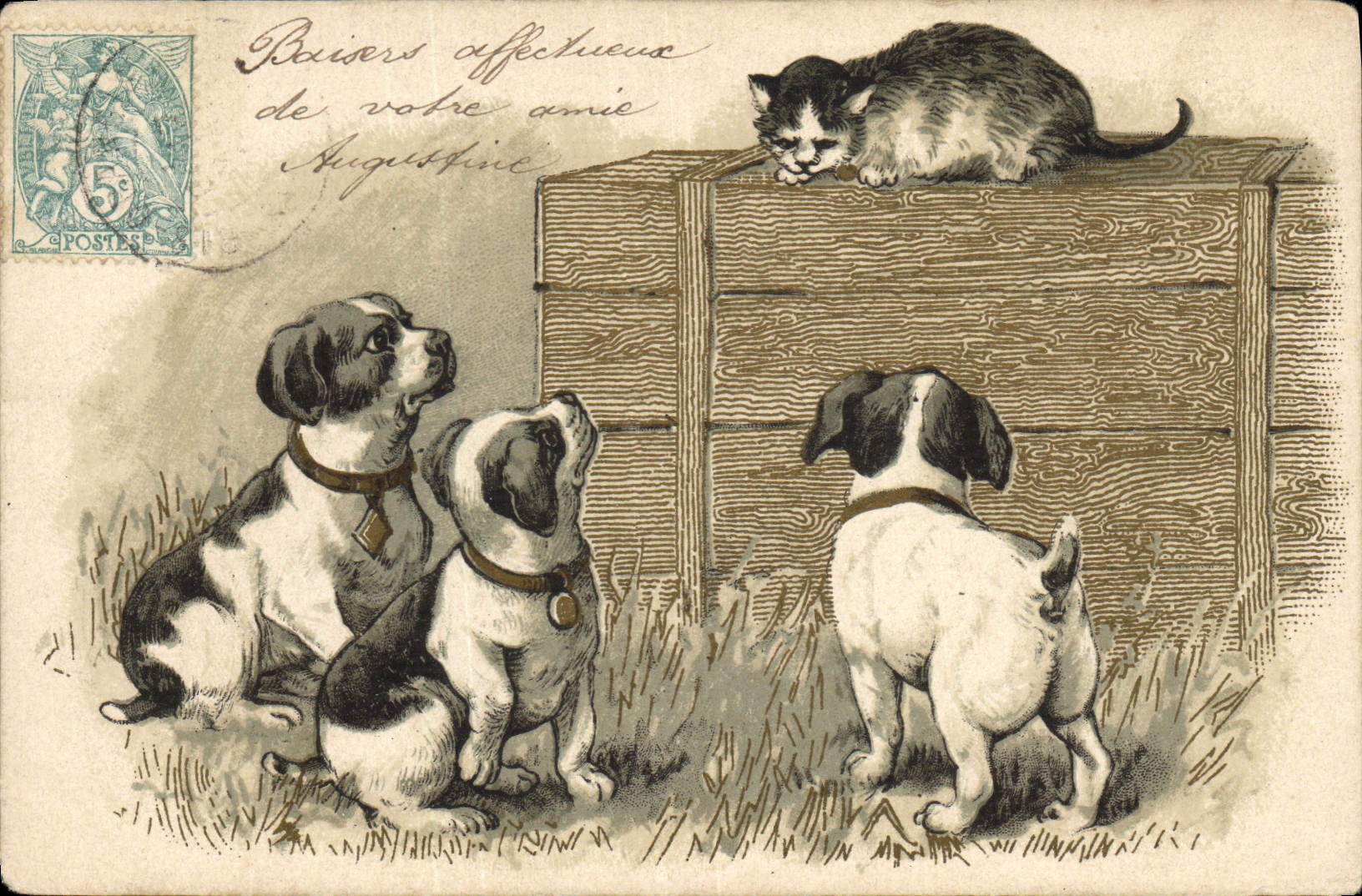 CPA Chien Chiens Chiot Chat