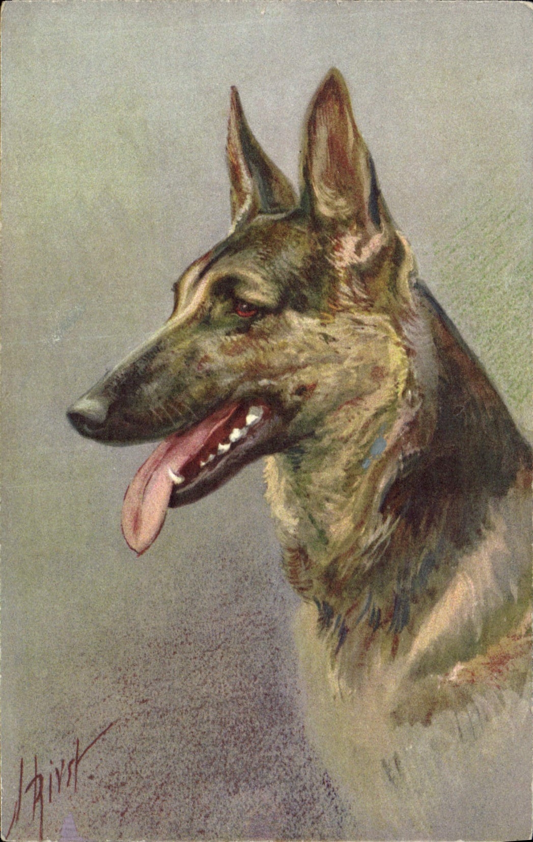 Vintage Postcard Dog Dogs Pup Alsatian Shepherd