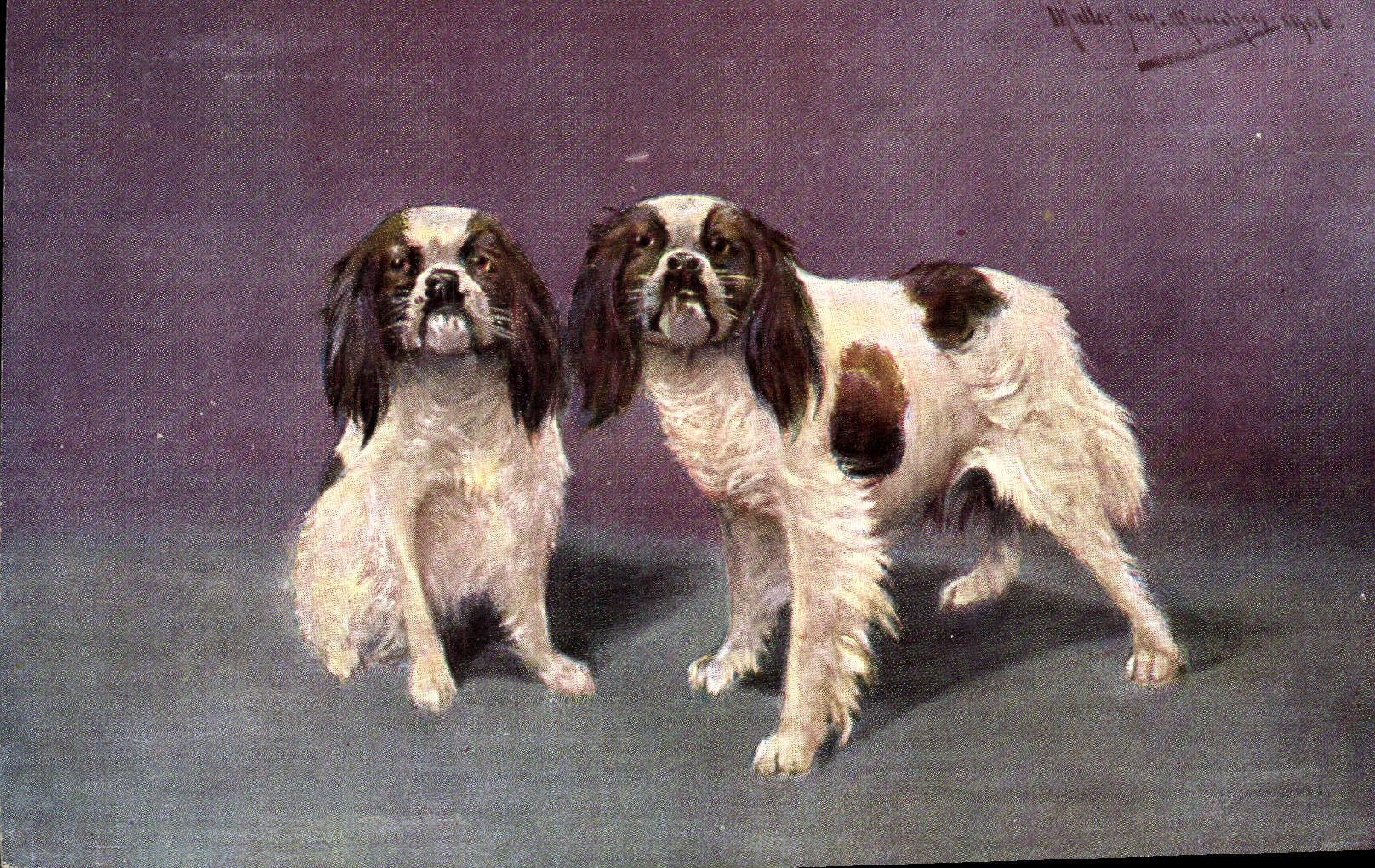 CPA Chien Chiens Chiot 