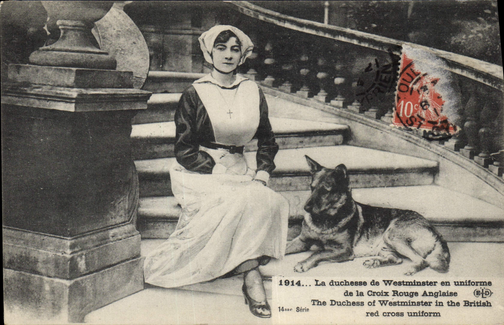 Vintage Postcard Militaria the duchess of Westminster in Al English Red Cross uniform dog
