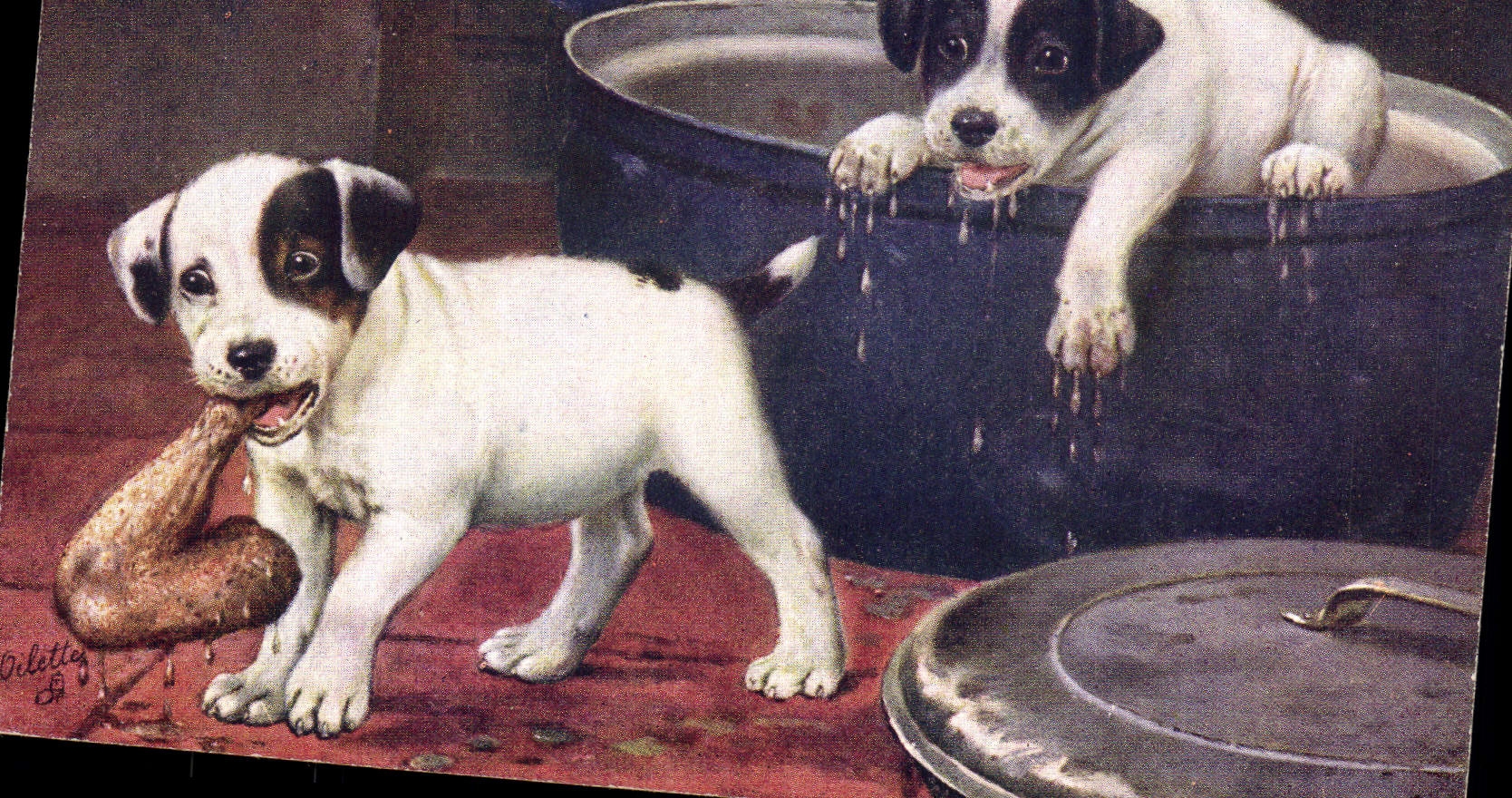 CPA Chien Chiens Chiot 