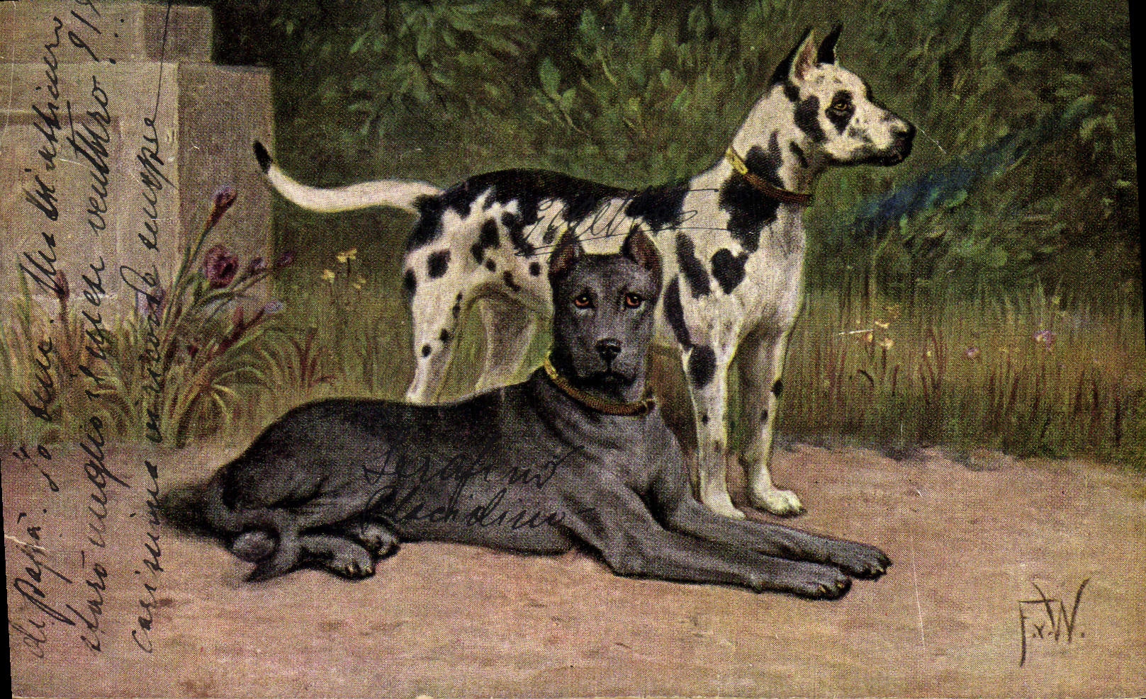CPA Chien Chiens Chiot 
