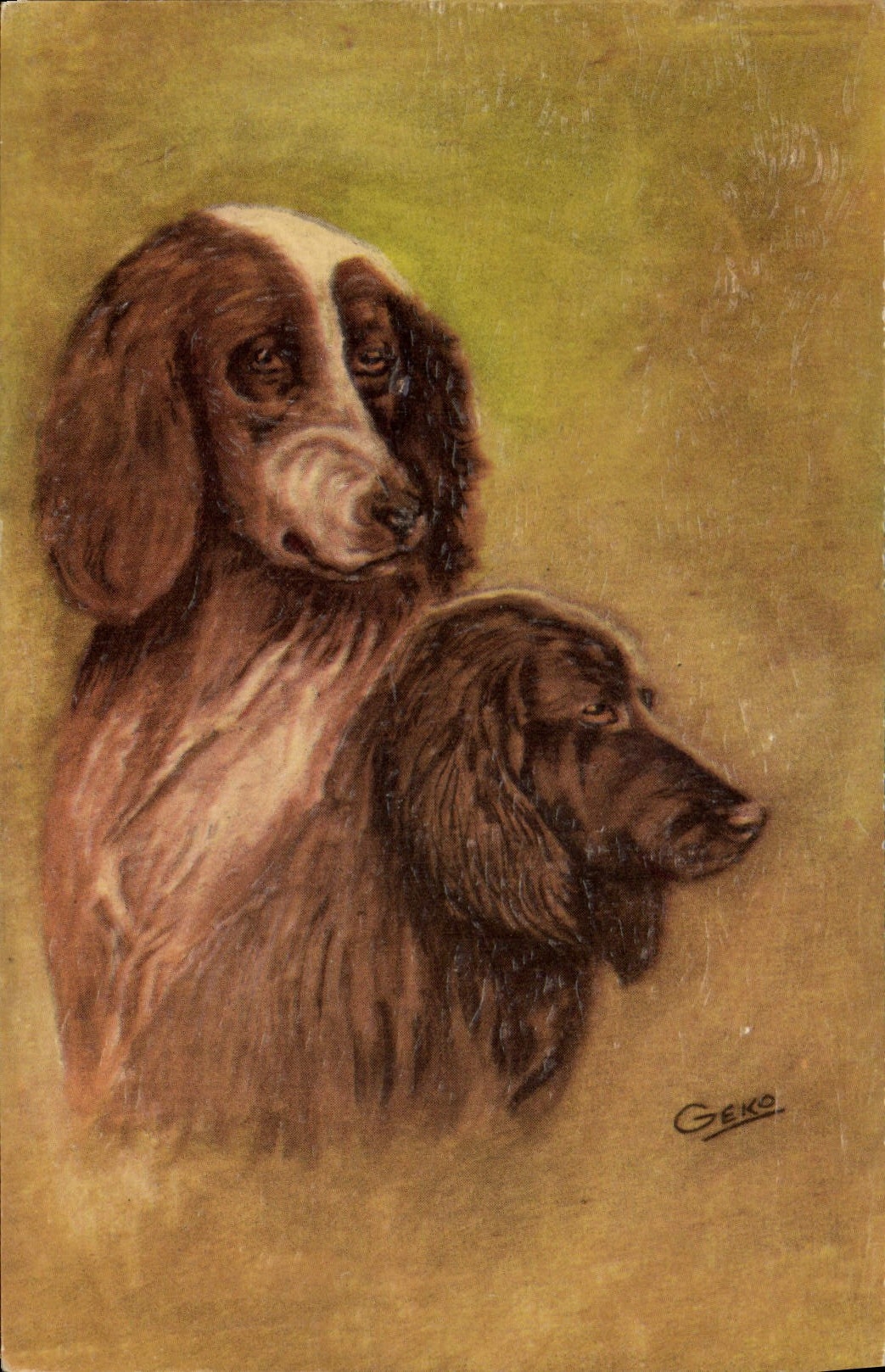CPA Chien Chiens Chiot 