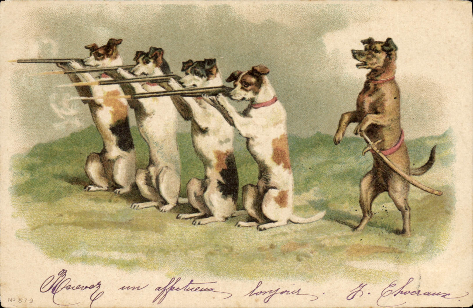 Vintage Postcard Chien Dogs Pup Drives out Rifle