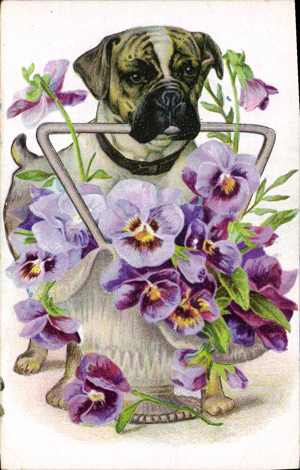CPA Chien Chiens Chiot Fleurs