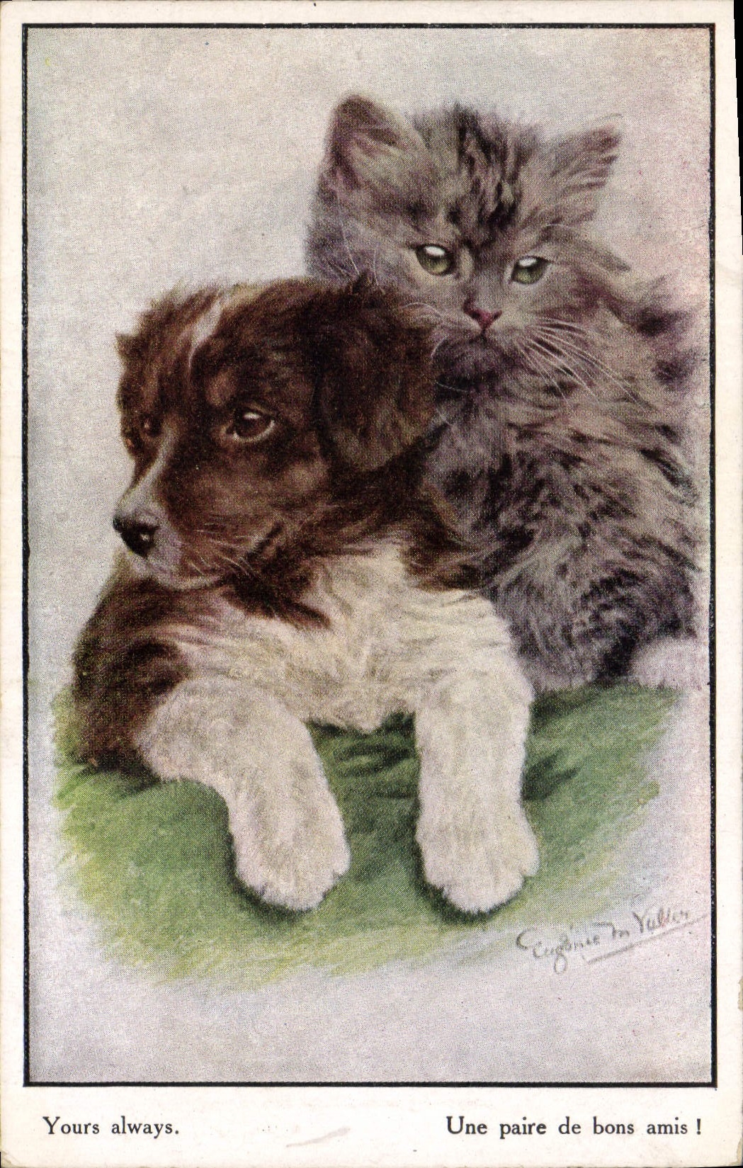 Vintage Postcard Dog Dogs Pup A pair of good friends Cat