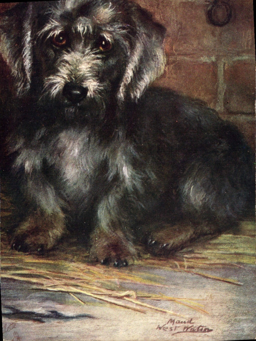 CPA Chien Chiens Chiot 